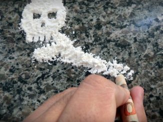 1,6 Tonnen Kokain im Hafen von Rotterdam beschlagnahmt