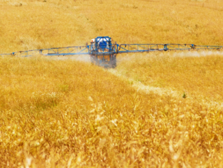 Umweltministerin Lemke drängt auf erhebliche Reduzierung des Pestizideinsatzes