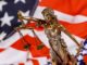 Polizist in den USA wegen Tötung eines Hundes zu einem Jahr Haft verurteilt