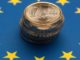 DIW-Präsident sieht den Euro als Erfolgsgeschichte