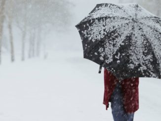 Heftige Schneefälle sorgen für Reisechaos in Japan