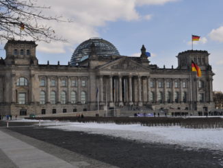 Grüne hoffen auf einheitliches Vorgehen der Fraktionen bei der Impfpflicht