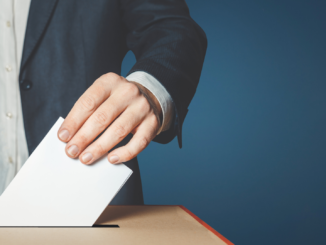 AfD will Kandidaten für Bundespräsidentenwahl erst Ende Januar benennen