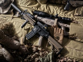 Ukrainischer Botschafter fordert Waffenlieferungen von Deutschland