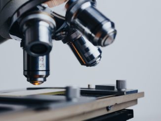 Mordopfer aus Bonn über 27 Jahre nach Fund von Knochen identifiziert