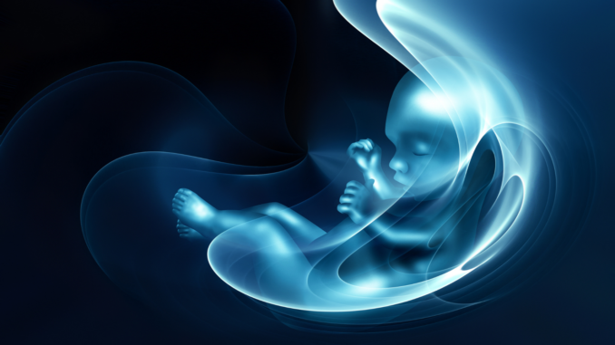 Kind im Mutterleib