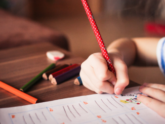 Bundesentwicklungsministerin Schulze warnt vor globaler Bildungskrise