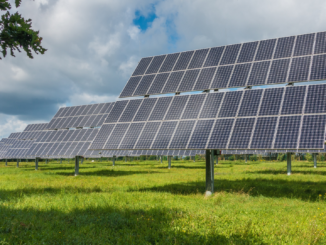 FDP-Fraktionschef Dürr will EEG-Umlage bis Herbst abschaffen