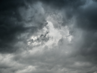 Wetterdienst erwartet Sturm und Orkan ab Donnerstag im Norden und der Mitte