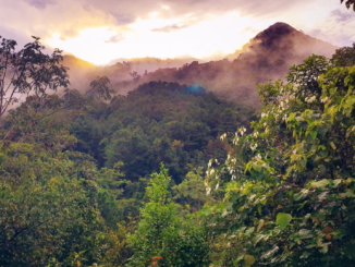 Ölpipeline im Amazonas-Regenwald bei Erdrutsch beschädigt