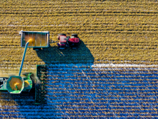 60 Millionen Euro EU-Hilfen für deutsche Landwirte
