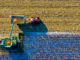 60 Millionen Euro EU-Hilfen für deutsche Landwirte