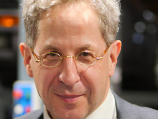 Maaßen bremste Beschäftigung mit rechtem Institut aus