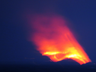 Galápagos-Vulkan ausgebrochen – Heimstatt der letzten rosafarbenen Leguane