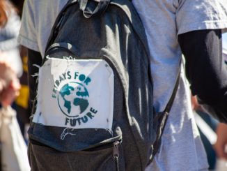 Fridays for Future ruft für 25. März zu zehntem globalen Klimastreik auf