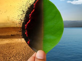 Sieben vergangene Jahre waren die wärmsten seit Beginn der Aufzeichnungen