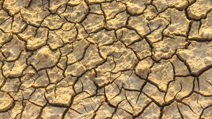 Dürre - Bild: dovscollection via Twenty20