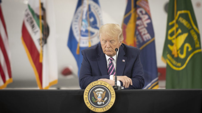 Donald Trump - Bild: U.S. Department of Homeland Security (DHS)