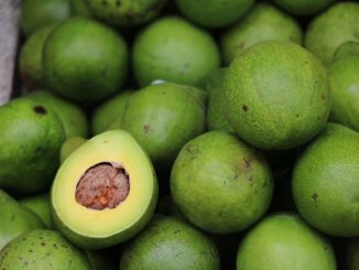 USA nehmen nach Drohanruf gestoppte Avocado-Importe aus Mexiko wieder auf