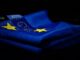 EU-Staaten raten Bürgern von Teilnahme am Ukraine-Krieg ab