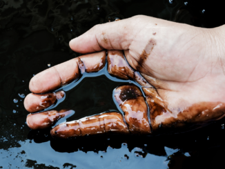 Unternehmen: 6300 Barrel Öl aus beschädigter Pipeline in Ecuador ausgelaufen