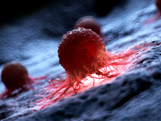 Deutsche Krebshilfe erwartet ab Ende des Jahres eine erhöhte Krebssterblichkeit