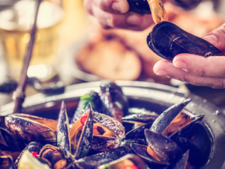 EU und USA nehmen Handel mit Muscheln wieder auf