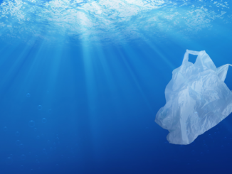 WWF-Studie: Plastikmüll in Weltmeeren allgegenwärtig und wächst weiter exponentiell