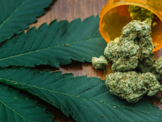 Münchner Arzt verschrieb über 500 Mal Marihuana ohne medizinischen Grund