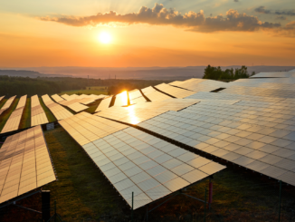 Regierung will mehr Photovoltaik-Anlagen auf Ackerflächen