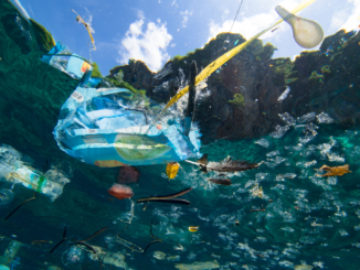 Bundesregierung will mit „Meeresstrategie“ Schutz der Ozeane vorantreiben