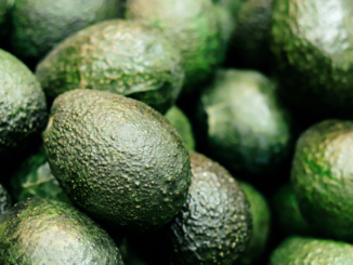 USA stoppen nach Drohung gegen Lebensmittelkontrolleur Avocado-Einfuhr aus Mexiko