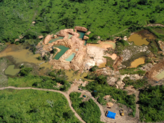 Bolsonaro genehmigt Ausweitung der Gold-Gewinnung im Amazonas-Gebiet