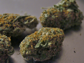 Auto mit 139 Kilogramm Marihuana auf Autobahn in Baden-Württemberg gestoppt