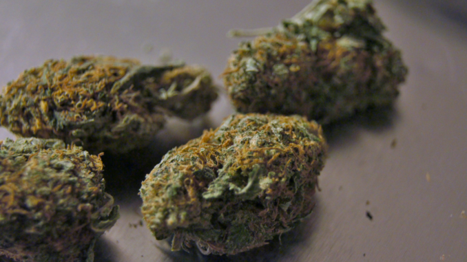 flash_up_symbolbild_ - 2022-02-15T122618.686 Marihuana