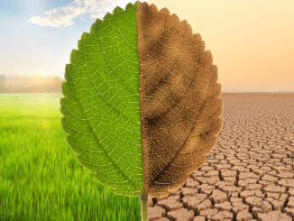 Stark-Watzinger: Klimawandel kann nur global bekämpft werden Stark-Watzinger: Klimawandel kann nur global bekämpft werden