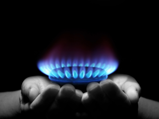 Umweltverbände kritisieren EU-Pläne für Einstufung von Gas und Atom als „grün“