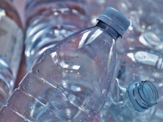 OECD: Nur neun Prozent des verwendeten Plastiks wird recycelt
