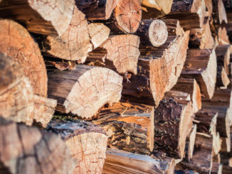 Erzeugerpreise für Rohholz erstmals seit 2014 gestiegen