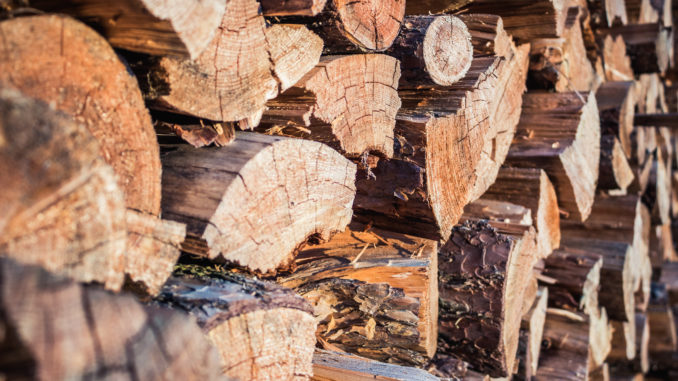 Holz - Bild: Kenny Weigel/CC BY-NC 2.0