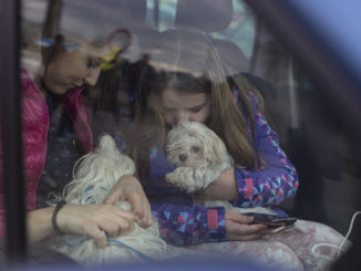 Länder stellen sich auf geflüchtete Kinder an Schulen ein