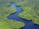 Abholzung im Amazonas auf höchstem Februar-Wert seit Beginn der Aufzeichnungen