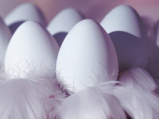 Verbrauch an Eiern in Deutschland gesunken