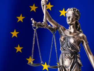 Gutachten: Unbegleitete minderjährige Flüchtlinge können Ablehnung von Aufnahme anfechten