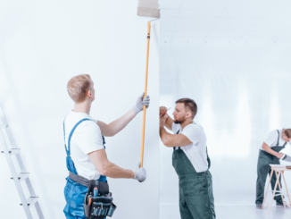 Bauministerin für Sanierungspflicht bei Immobilienkauf