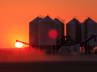 EU-Mitgliedstaaten kündigen Initiative im Kampf gegen Nahrungsmittelknappheit an