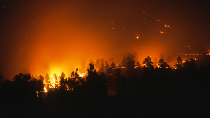 Waldbrand in den Rocky Mountains