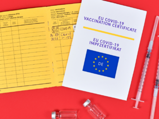 Bundespolizei registriert 2022 bislang 800 Fälle gefälschter Gesundheitszeugnisse