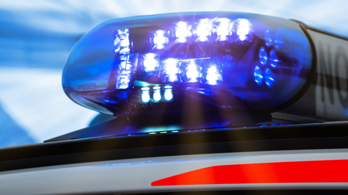 Rettungsdienst (über cozmo news)