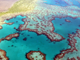 UN-Experten überprüfen Schutz für gefährdetes Great Barrier Reef in Australien